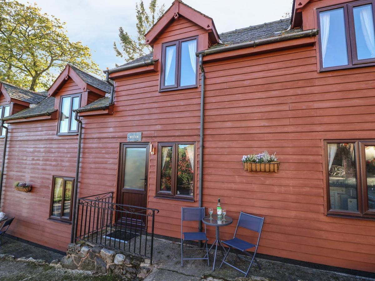 Beech Holiday home Llanidloes