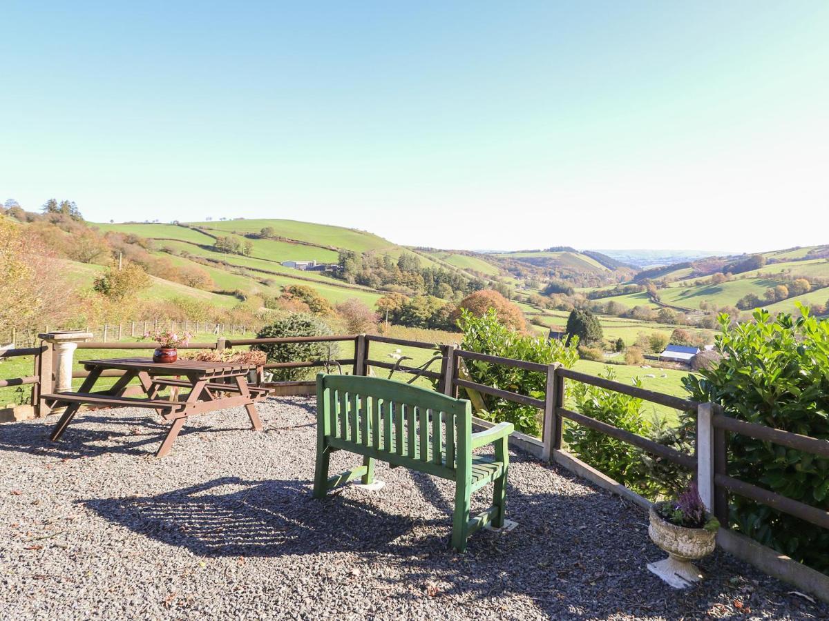 Beech Llanidloes
